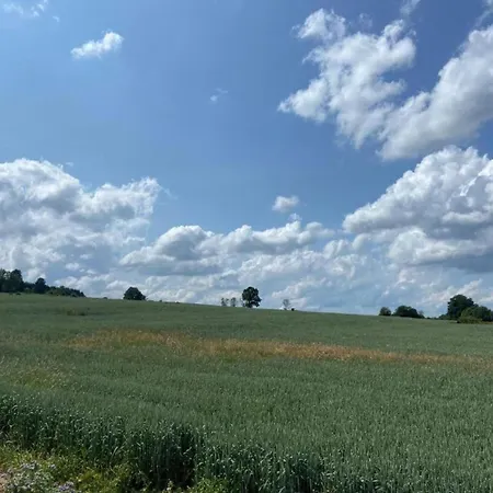 Group In Σπίτι διακοπών Lierneux